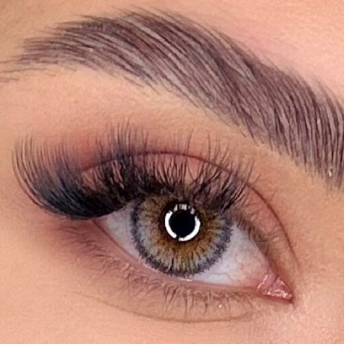 تصویر لنز پرو نیوویژن تک جفتی Amber Grey 3