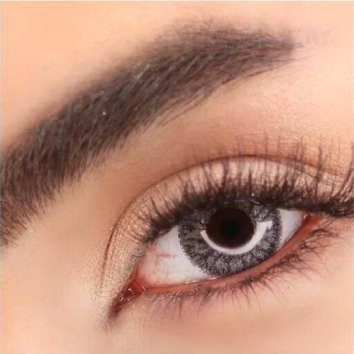 تصویر لنز پرو نیوویژن تک جفتی Platin Gray 2