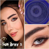 لنز پرو نیوویژن تک جفتی Ice Gray 1